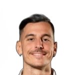 Mirza Alibegovic