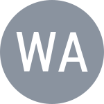 Yiru Wang