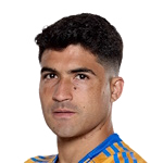 Nicolás Ibáñez