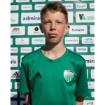 Teodor Sibul