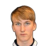 Maxmillian Taraldset Hæstad