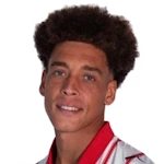 Axel Witsel