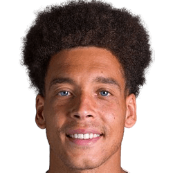 Axel Witsel
