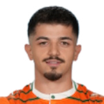 Şahin Dik