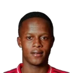Siyabonga Ndlozi