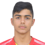 Erfan Darvishaali