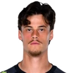 Mile Svilar