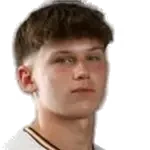 Aidan Higgins