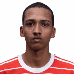 Victor Henrique Anjos Gomes