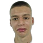 Roko Roić