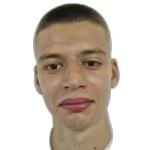 Roko Roić