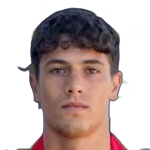 Lorenzo Pulsoni