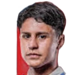 Nestor Salinas