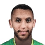 Naoufel Zerhouni