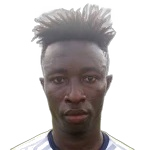 Stephen Amankona