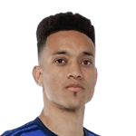 Wenderson Tsunami