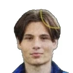 K. Kaminski