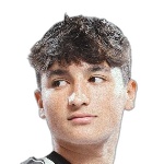 Dalziel Ozuna