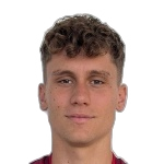 Stefano Piccinini