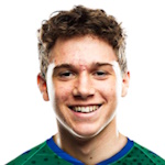 Ian Shaul