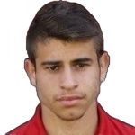 Mitko Mitkov