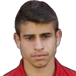 Mitko Mitkov