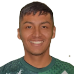 Josue Mamani