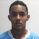 Vinicius Arcenio Alves
