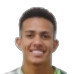 D. Ferreira