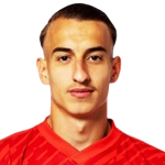Ardit Destani