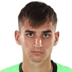 Denis Oncescu