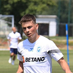 Cosmin Stana