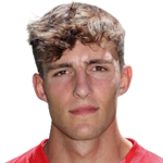 Thomas van Bommel