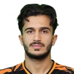 Seyed Mehdi Hosseini