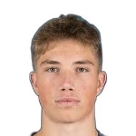 F. Jevsenak