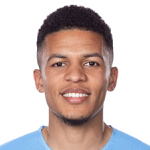 Romain Gall