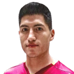Luis Alí