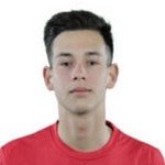 Denis Ursu