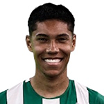 V. Balieiro