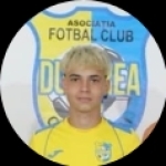 Denis Plesa