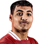 Hamza Wanis