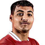 Hamza Wanis