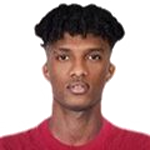 Ibrahim Elsadig
