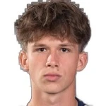 M. Lesniewski