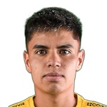 Martín Larraín