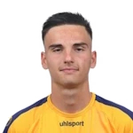 Nikola Pejcic