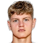 M. Kozik