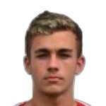 Vinicius Arlindo Preuss