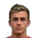 Vinicius Arlindo Preuss
