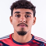 Theo Henrique Costa Ferreira